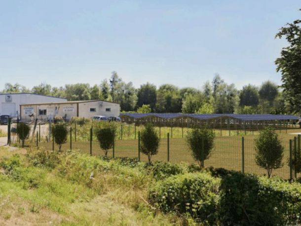 {{brizy_dc_image_alt imageSrc=